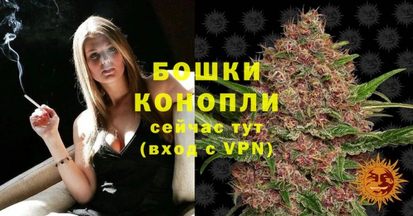 стафф Богородск