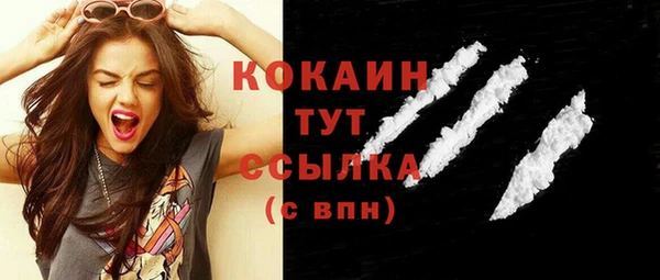 молекула духа Богородицк