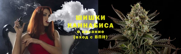 стафф Богородск