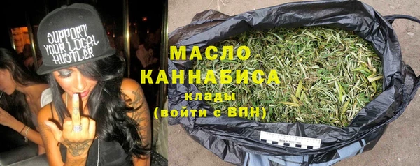 молекула духа Богородицк