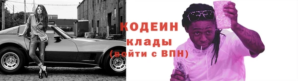 молекула духа Богородицк