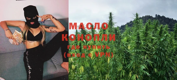 молекула духа Богородицк
