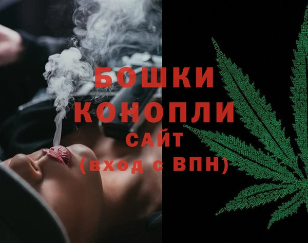 молекула духа Богородицк