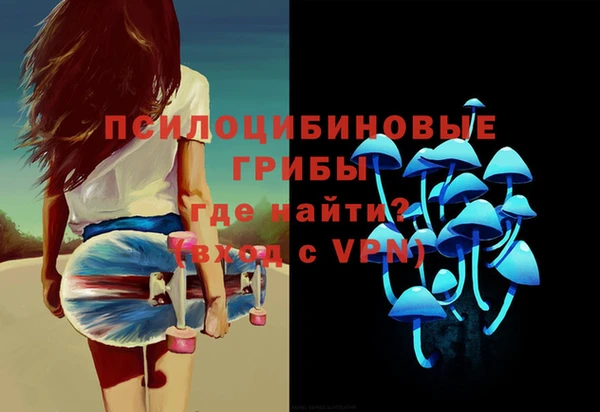 молекула духа Богородицк